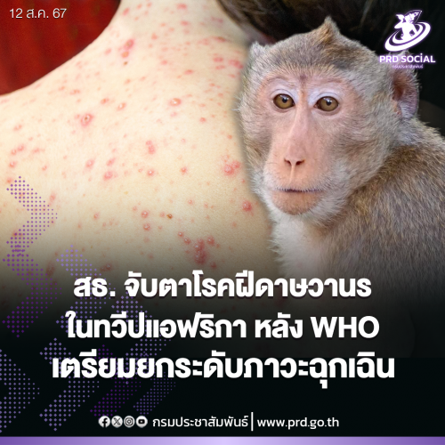 รูปภาพหน้าปก 4cef48ee-9420-4be6-8bdb-7b990886269f