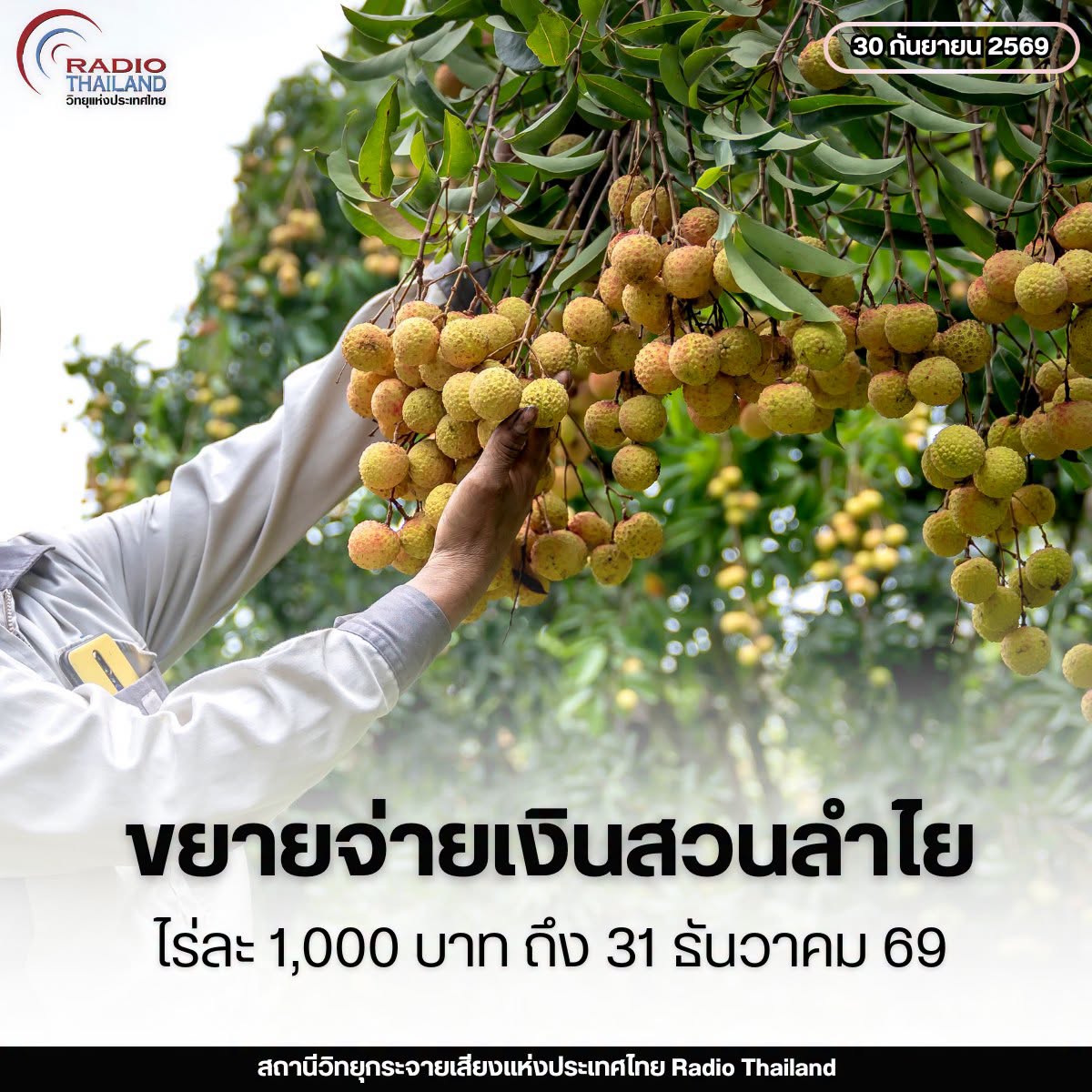 รูปภาพหน้าปก ecfaa5b0-6ad3-4475-958c-975fe907719d