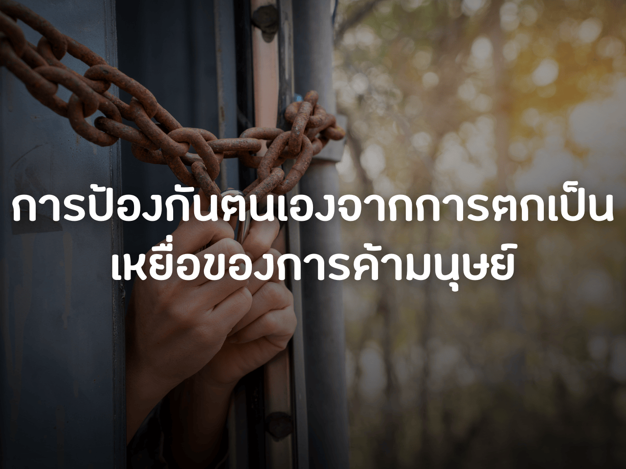 รูปภาพหน้าปก 92af4999-07fb-4936-ad9d-4e74de84415f