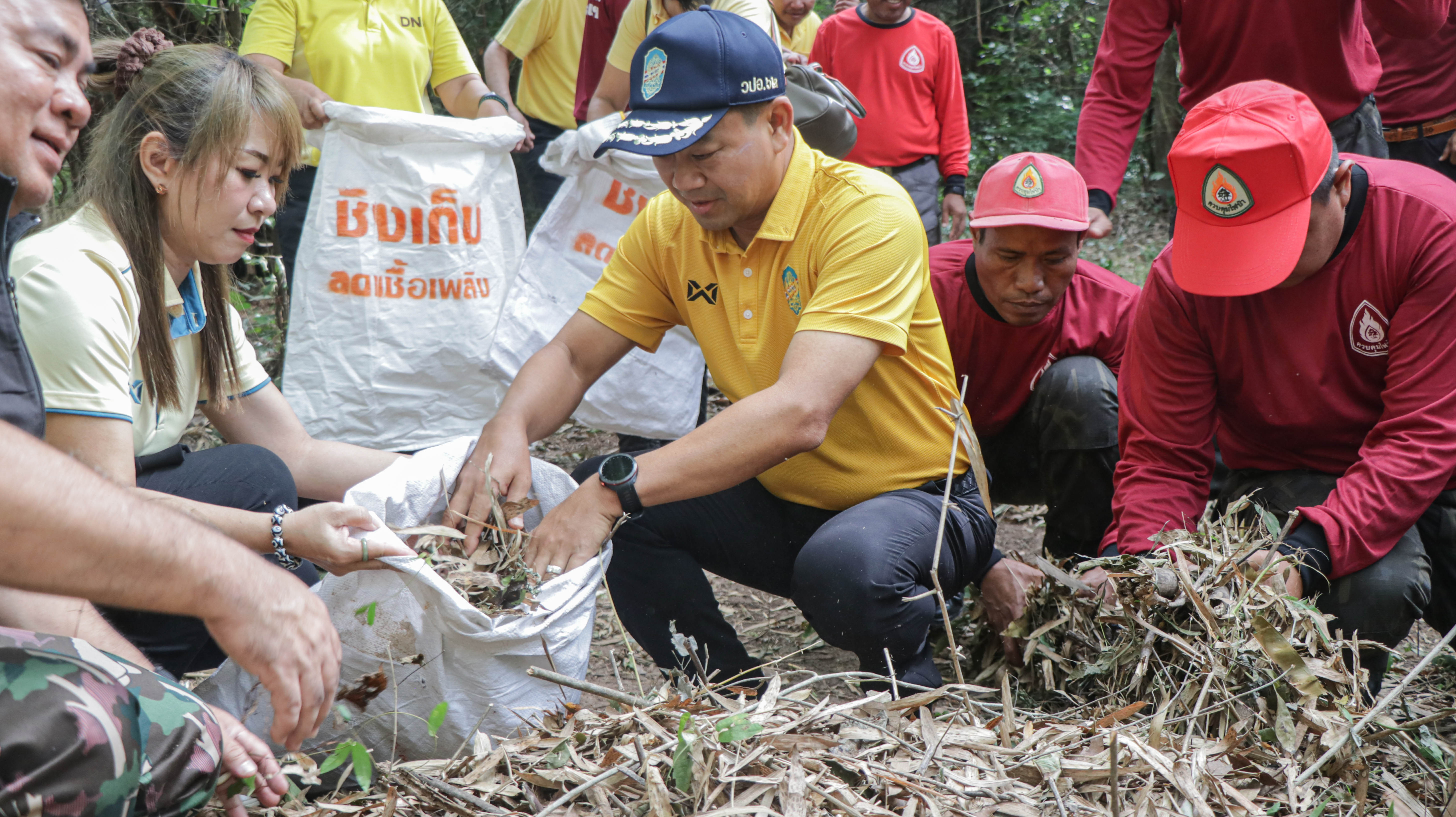 รูปภาพหน้าปก b8d52b24-d520-4f9f-ac44-7073157a3c63