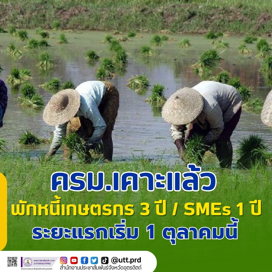 รูปภาพหน้าปก 7fafdaae-0f72-46bf-9760-da2b1f4b2c67