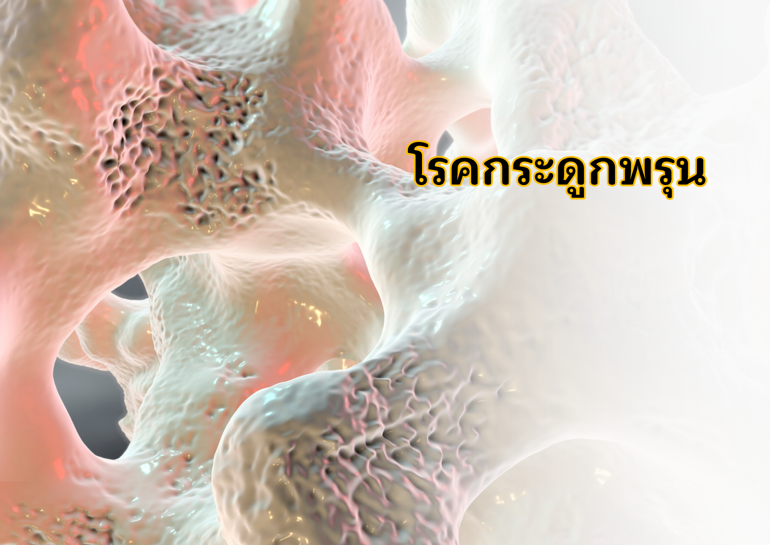 รูปภาพหน้าปก cea35a0e-2247-4f62-ac19-2db6ecc57169