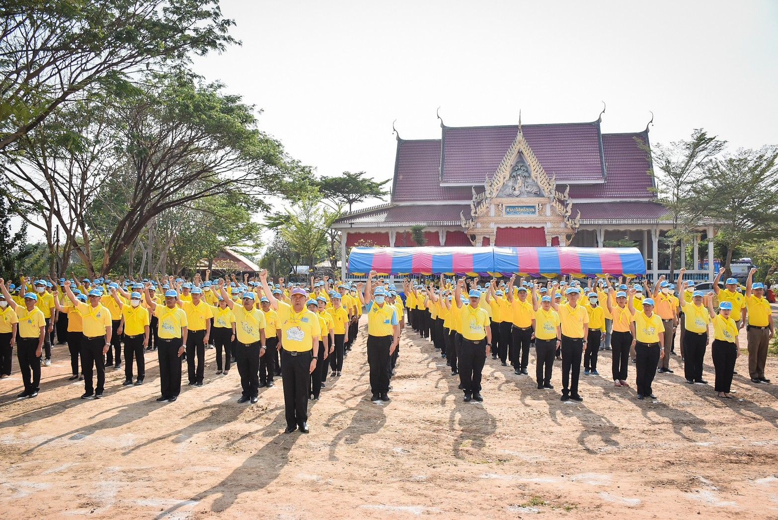 รูปภาพหน้าปก 8410e1f8-c72d-46cd-8697-36f6a4251249