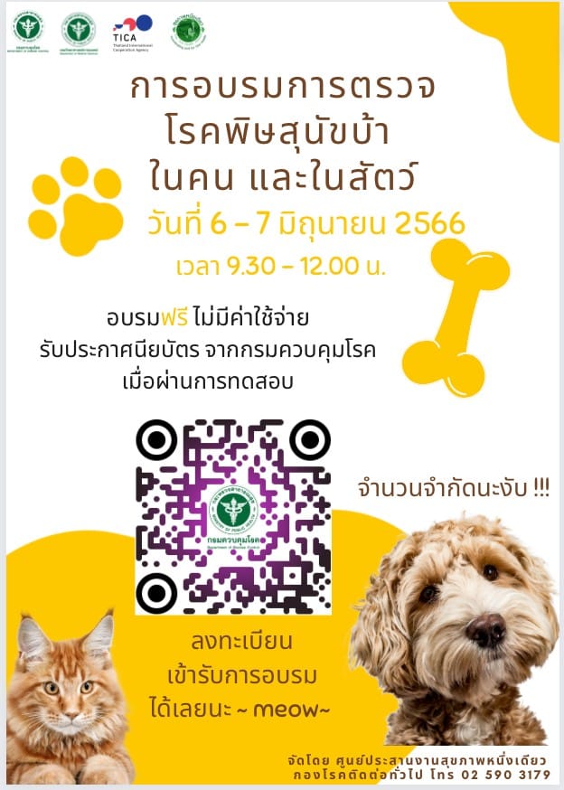 รูปภาพหน้าปก cba40eeb-0b2c-4a81-88f9-10ebdf7bb16c