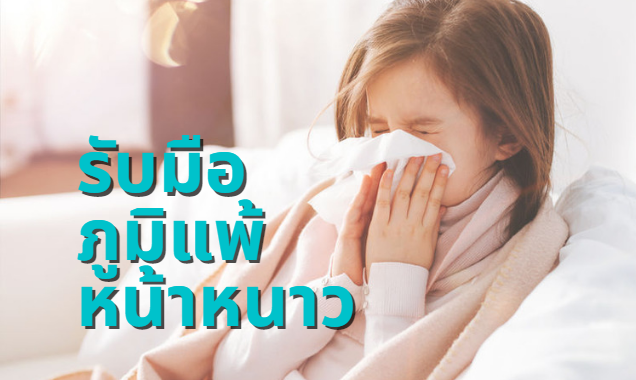 รูปภาพหน้าปก 745ec017-9593-46ee-8205-b106b193506f