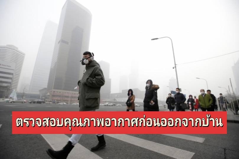รูปภาพหน้าปก 8a9ec017-cb14-4ea1-bfc0-5719cebf1f1b