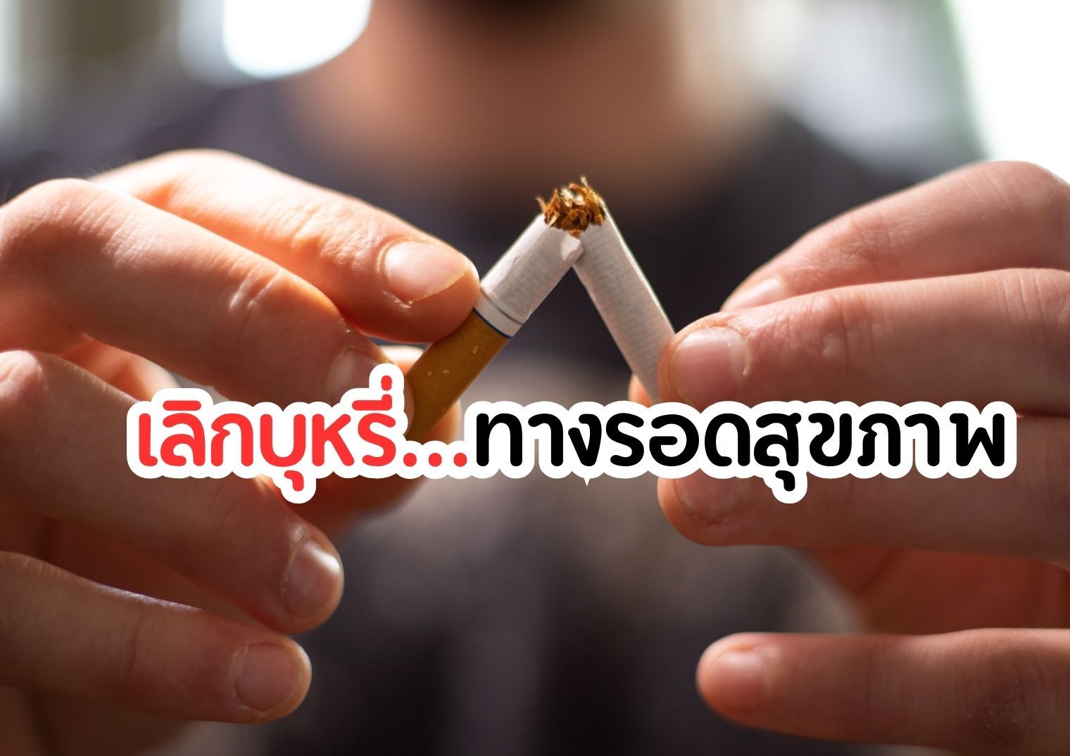 รูปภาพหน้าปก 57ae1de2-7ae9-47c1-bd0e-58a4ca74435a