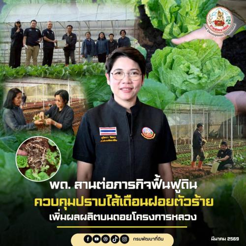 รูปภาพหน้าปก 2e122806-50cc-40ef-8750-aeb6e662f312
