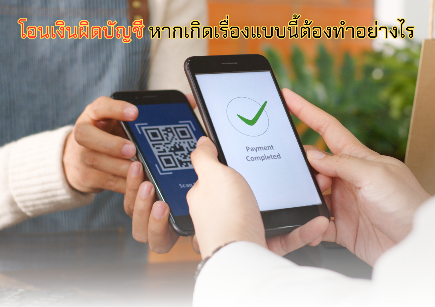 รูปภาพหน้าปก 84d8a18f-9b53-4a24-8de6-ea092f86e65c