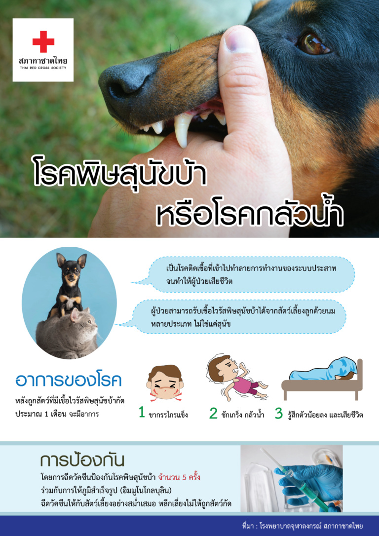 รูปภาพหน้าปก 433a6b41-e04f-4466-8bd5-7bea86d4e685
