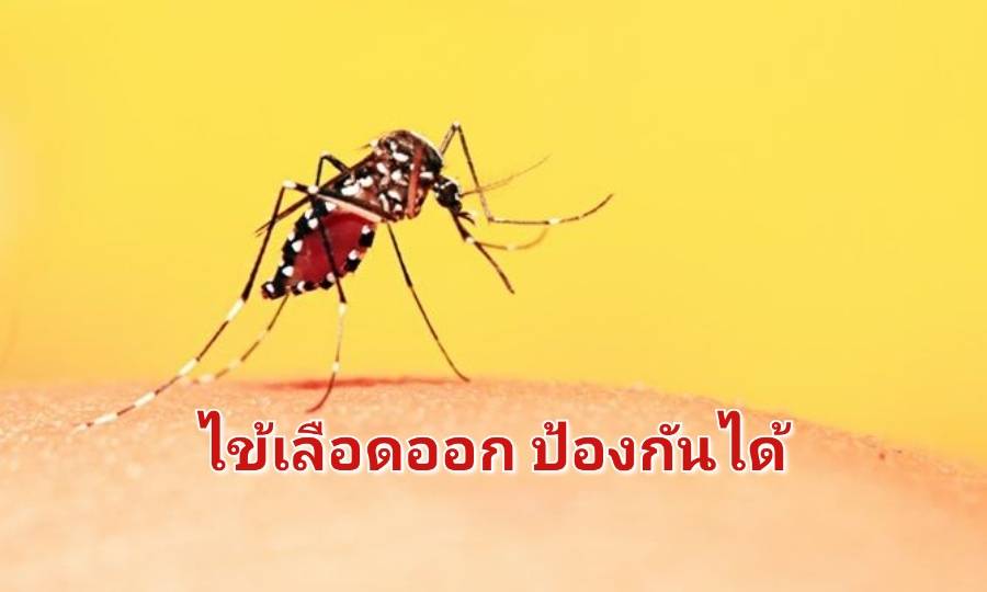 รูปภาพหน้าปก ce41feab-731d-4183-96ee-f55c8737c4a5