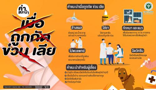 รูปภาพหน้าปก 2a810126-6f11-4d56-ae04-080486166eab