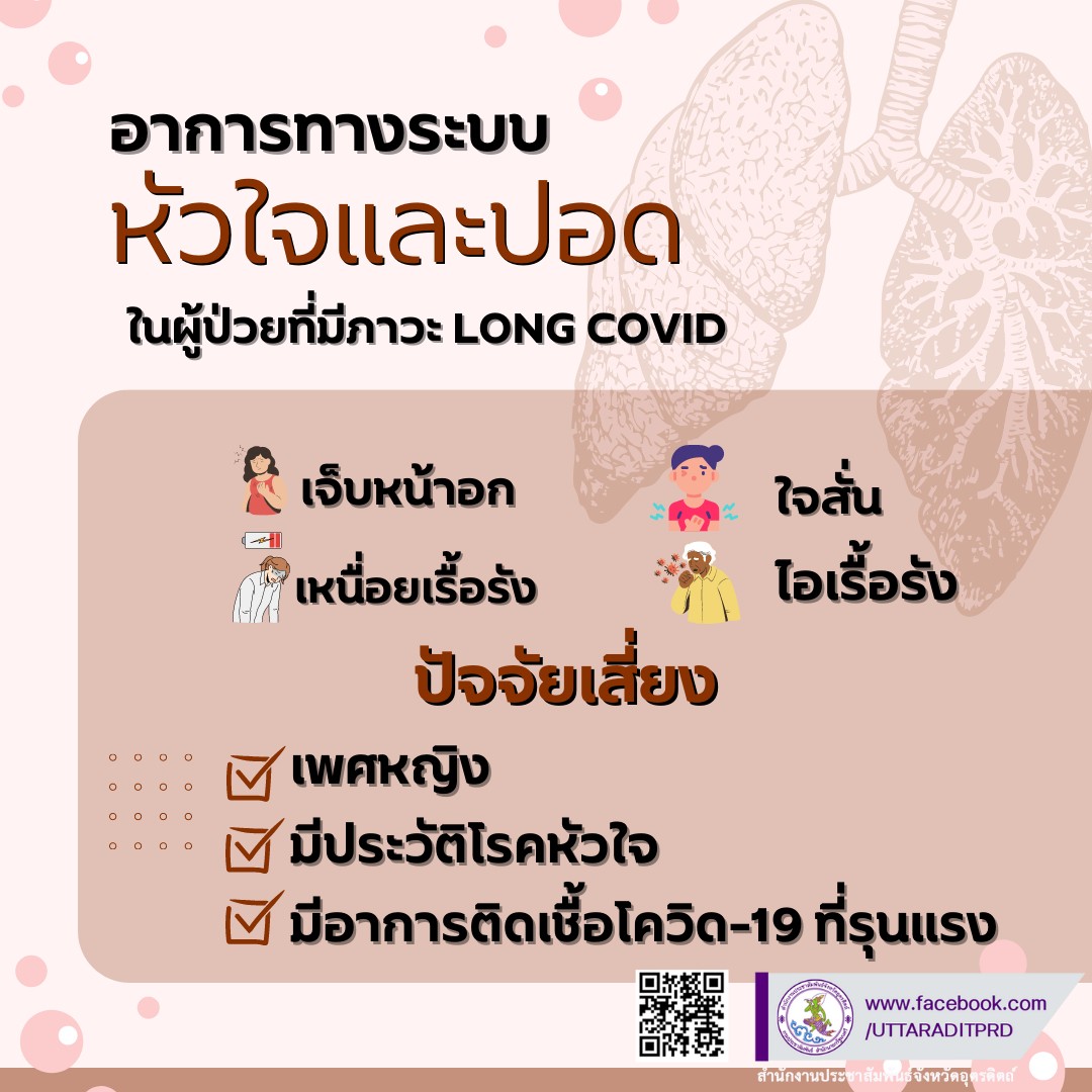 รูปภาพหน้าปก 55be8482-8bc4-49d8-b27c-31c7644b7235