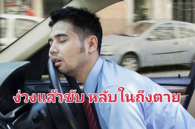 รูปภาพหน้าปก 729fa138-a039-4e81-828e-45f6dd1a65f0
