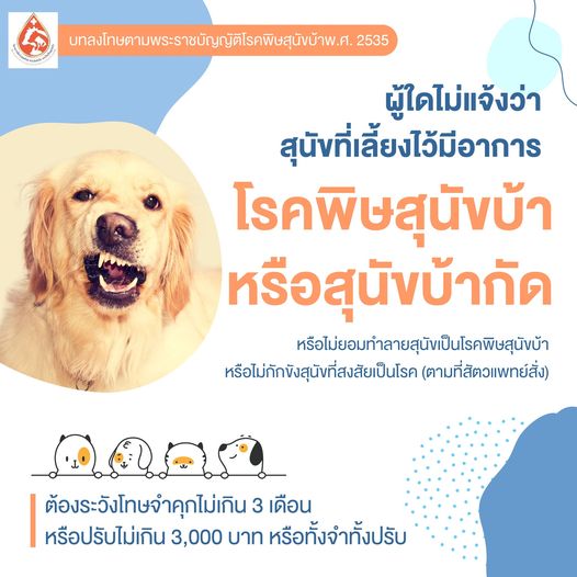 รูปภาพหน้าปก d7b72cef-34f0-4b18-9f99-1cc54256f371