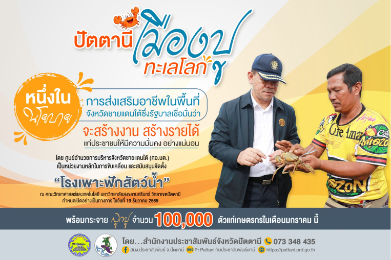 รูปภาพหน้าปก 85e3d47b-a730-4c28-89dd-84c470f5be6d