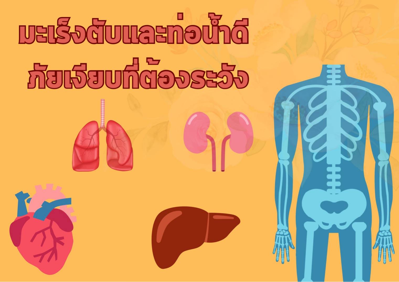 รูปภาพหน้าปก cd481854-c9c5-4621-aee1-76e06bbef74f