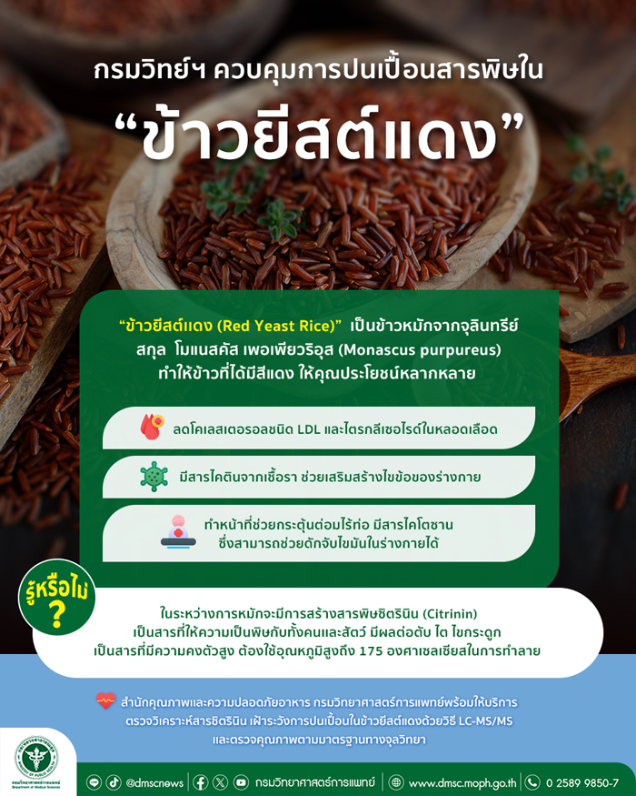 รูปภาพหน้าปก 96bfee26-5d17-4cd6-9b24-05da6689391c