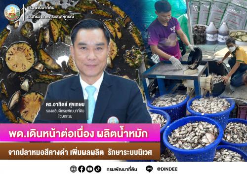 รูปภาพหน้าปก e41ffad5-1dfa-445d-ab86-eb914c58674c