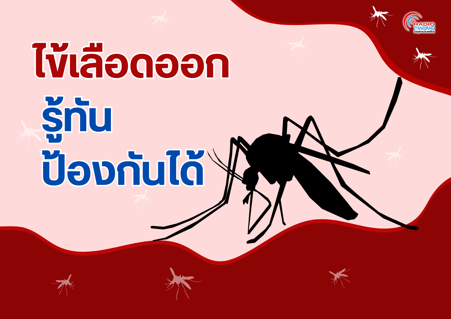 รูปภาพหน้าปก ea1d41c9-8fed-41a4-a7c6-6b85fd6fd053