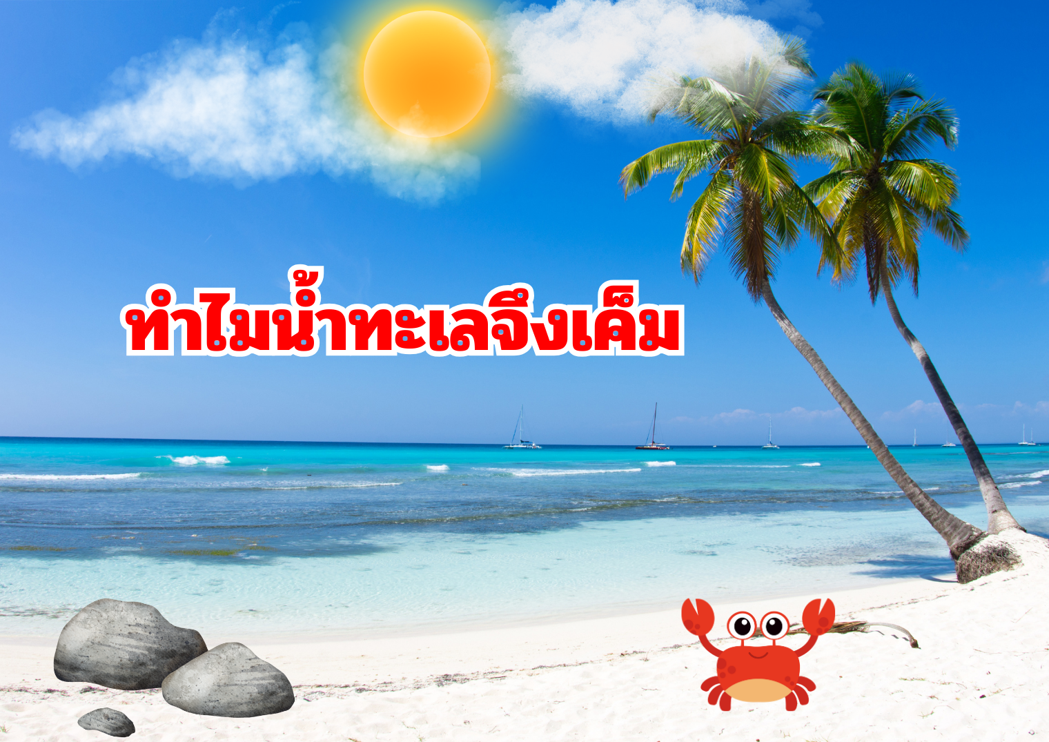 รูปภาพหน้าปก f22aae57-f369-4856-8f0f-c814c8ef815b