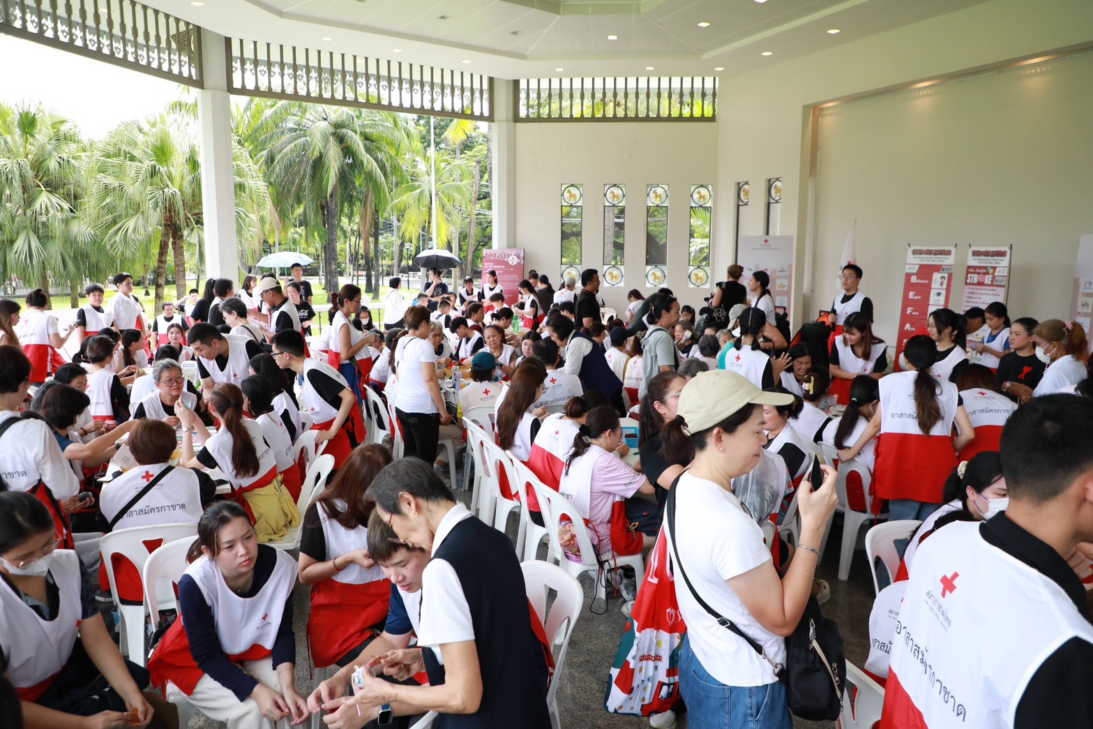 รูปภาพหน้าปก 2af10125-3d56-4bbe-b9e4-d7f0e45c2acc