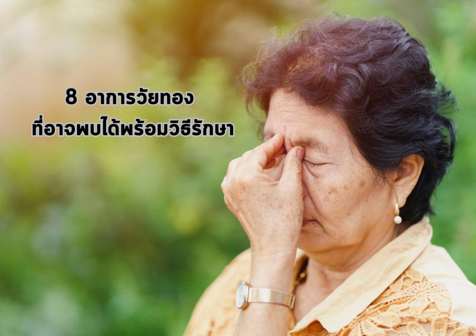 รูปภาพหน้าปก bae85c5c-1fb7-44f6-aba1-61fa8e59ea22