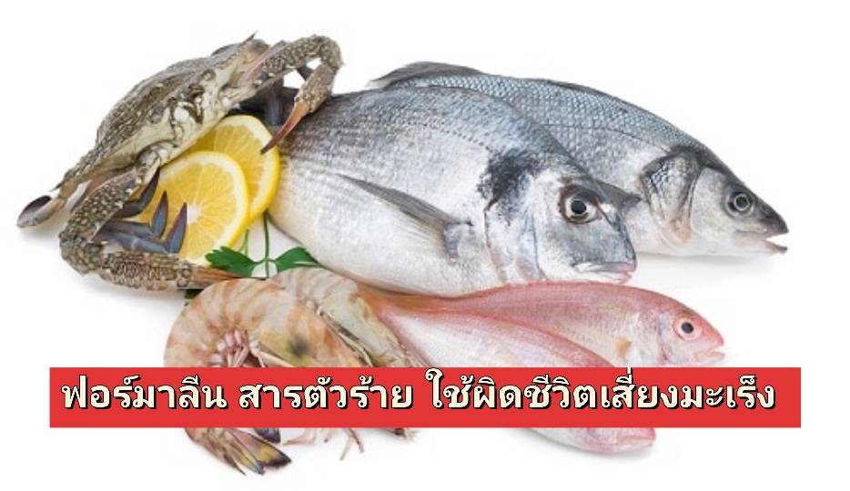 รูปภาพหน้าปก 825c7deb-5f82-423a-9c49-bef0bc85f01f