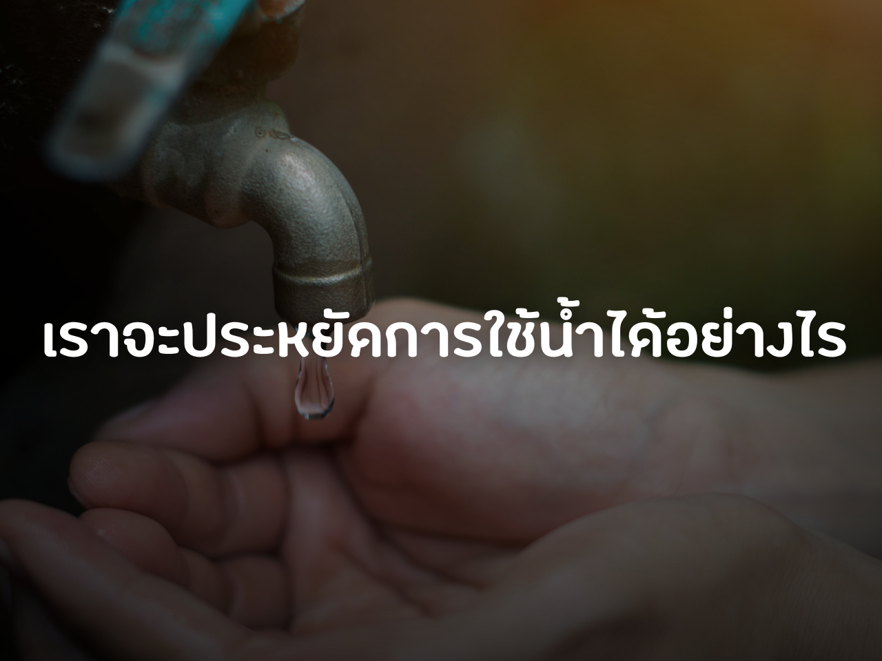 รูปภาพหน้าปก 0324e6d9-cb92-4685-a322-f997e8748711