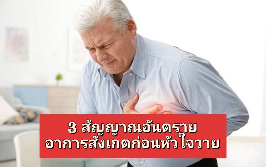 รูปภาพหน้าปก 40592a43-765d-475b-930b-8f6eebf3f8b9