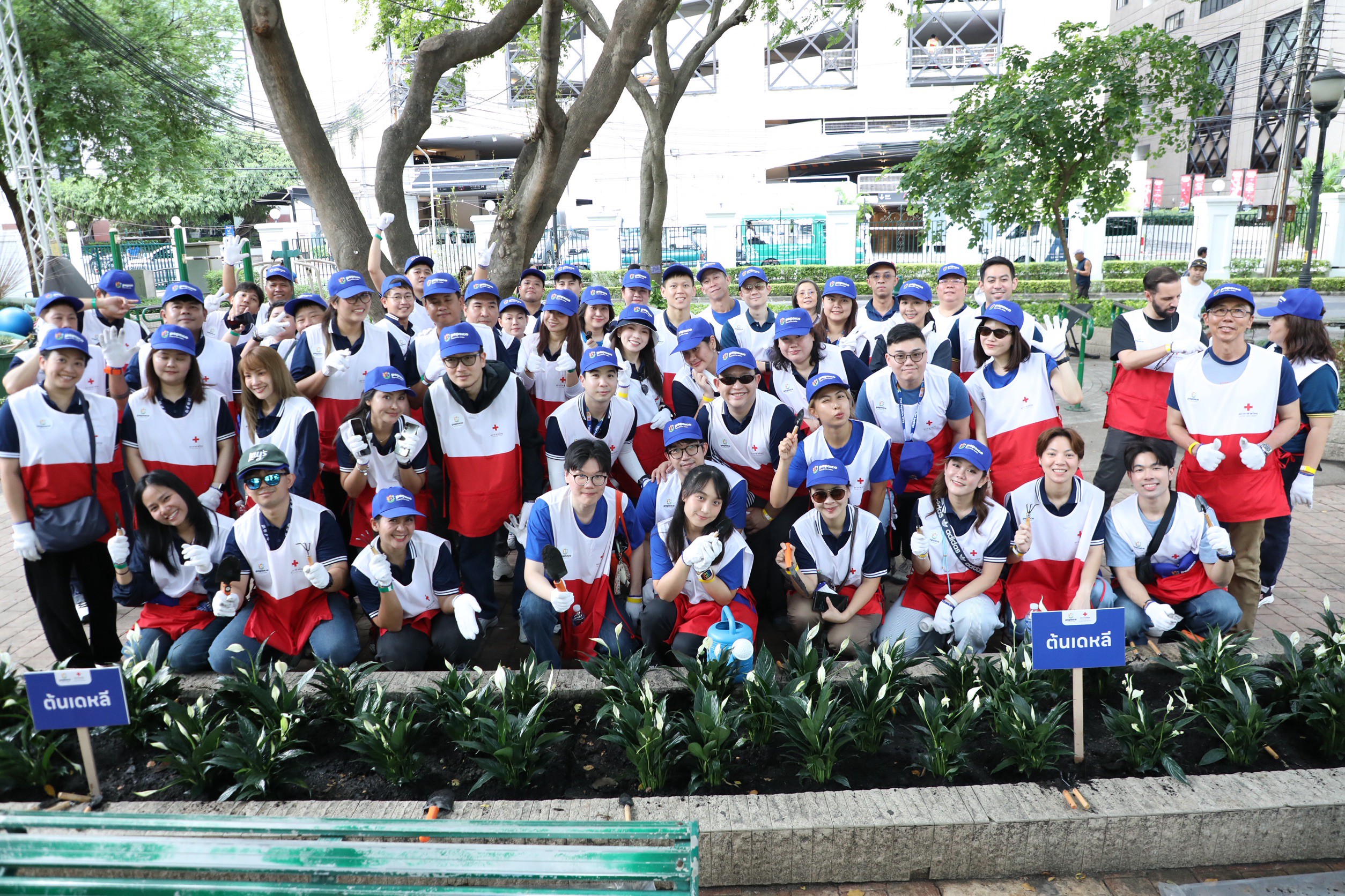 รูปภาพหน้าปก 00c6d165-bc40-48c2-8a30-2a0702a8820e