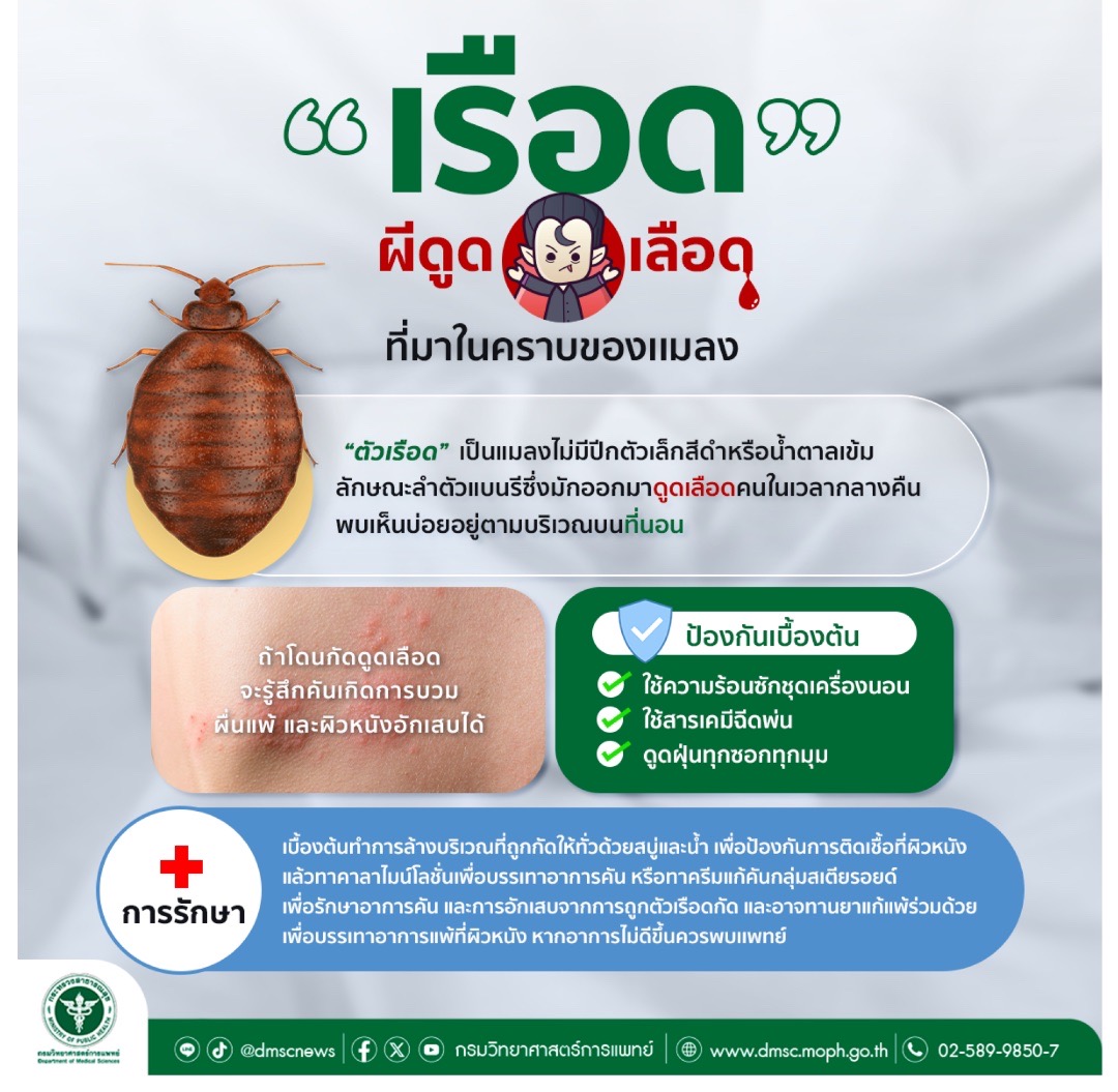 รูปภาพหน้าปก 9382e15d-8927-43ab-af3a-834e650ef68e