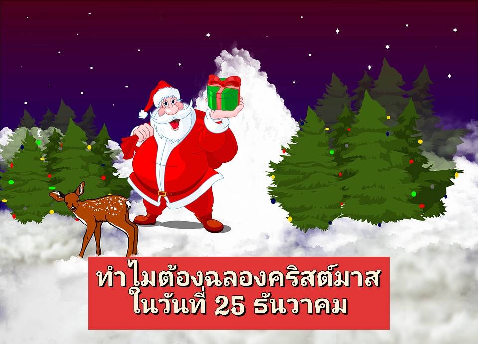 รูปภาพหน้าปก 809896c6-7f89-464d-a299-fd8a1ca6accd