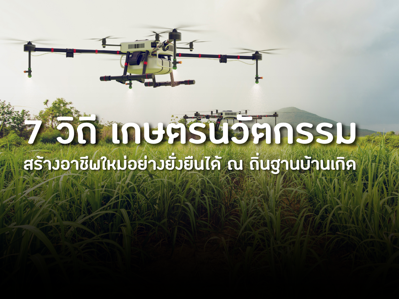 รูปภาพหน้าปก f887ff71-f3cf-484d-9a96-935b5a4257a8