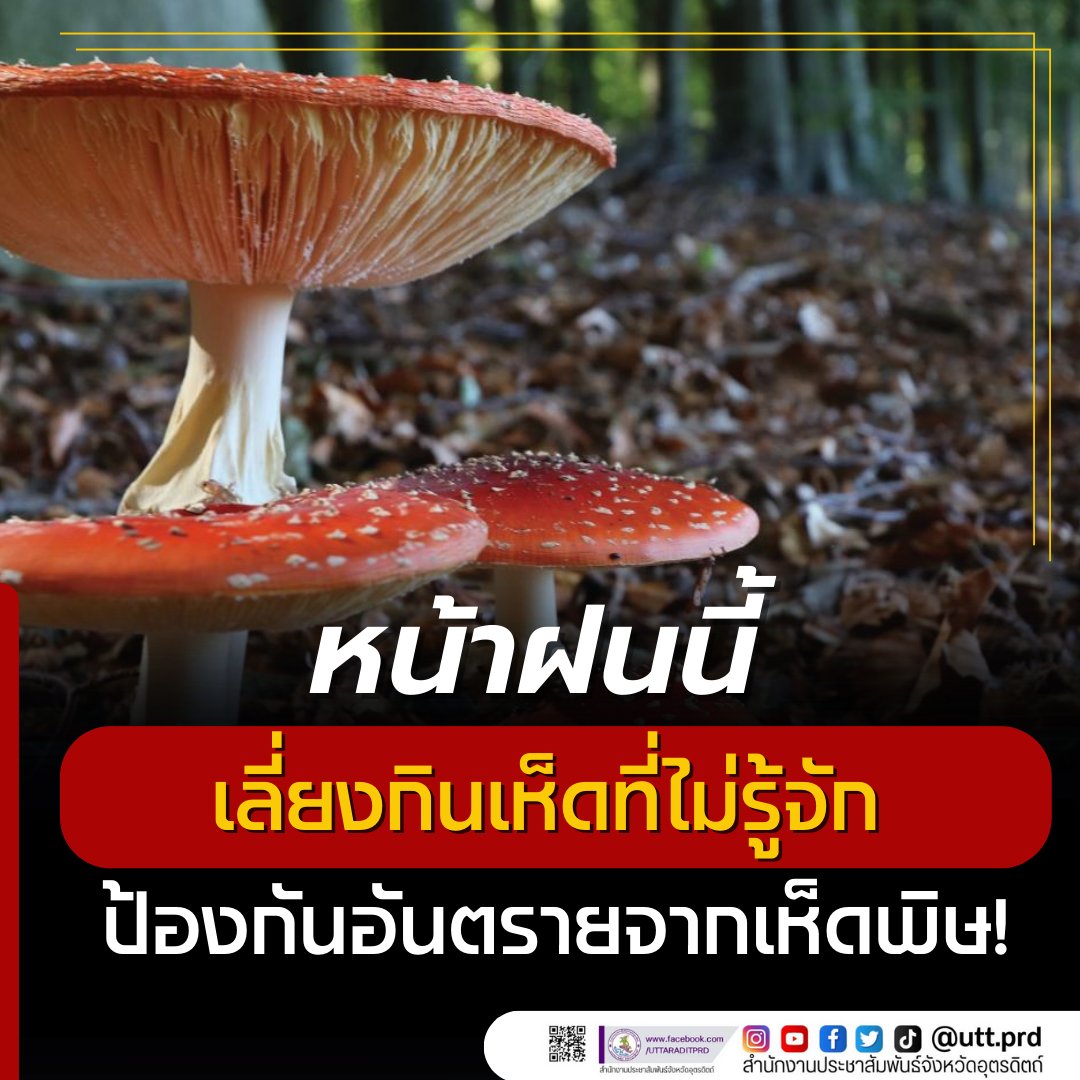 รูปภาพหน้าปก a8488ff3-17fc-4c03-a815-7c9d5e44dfca