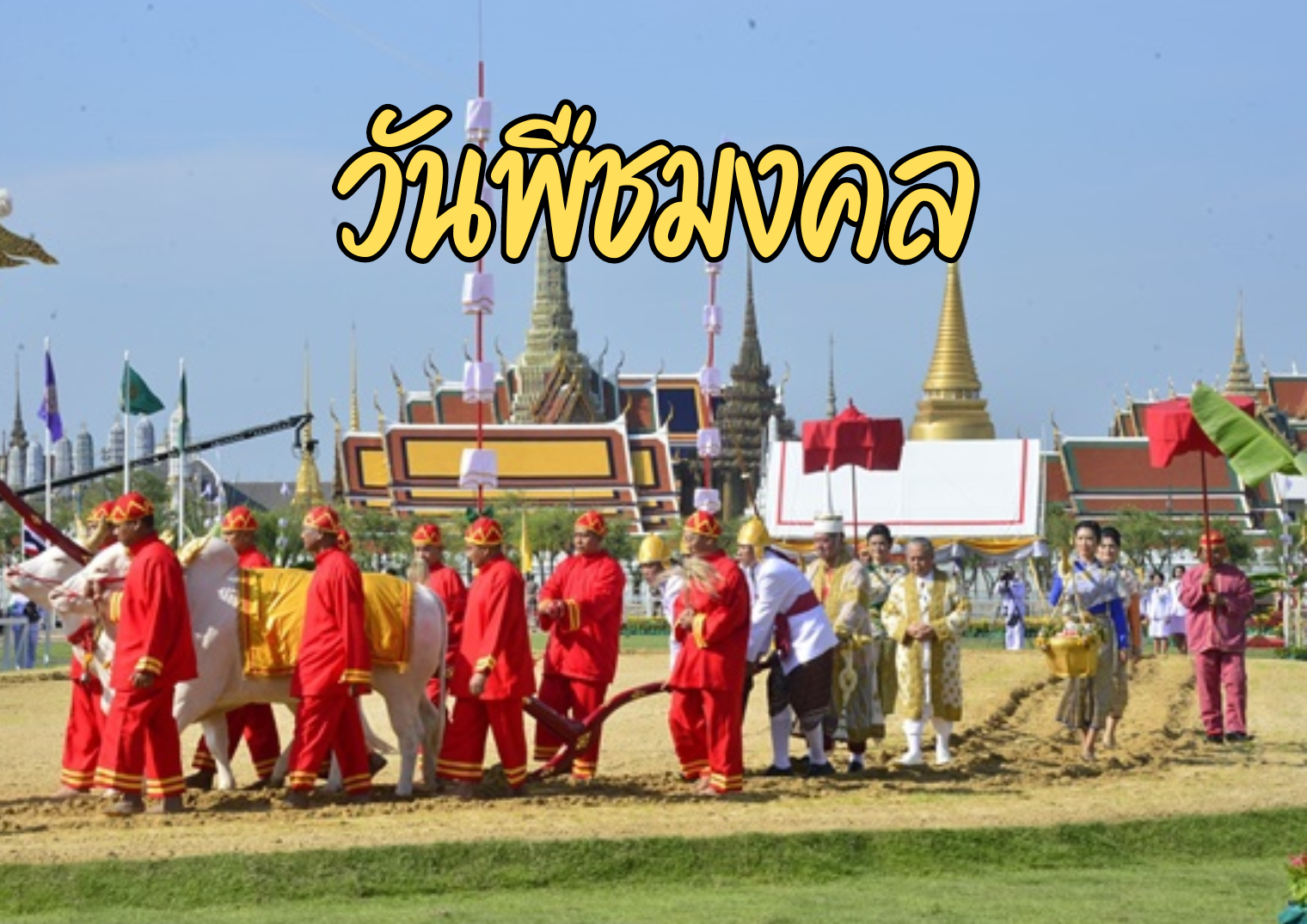 รูปภาพหน้าปก 0a97c34e-1d45-4861-9ee9-cba1f82028f4