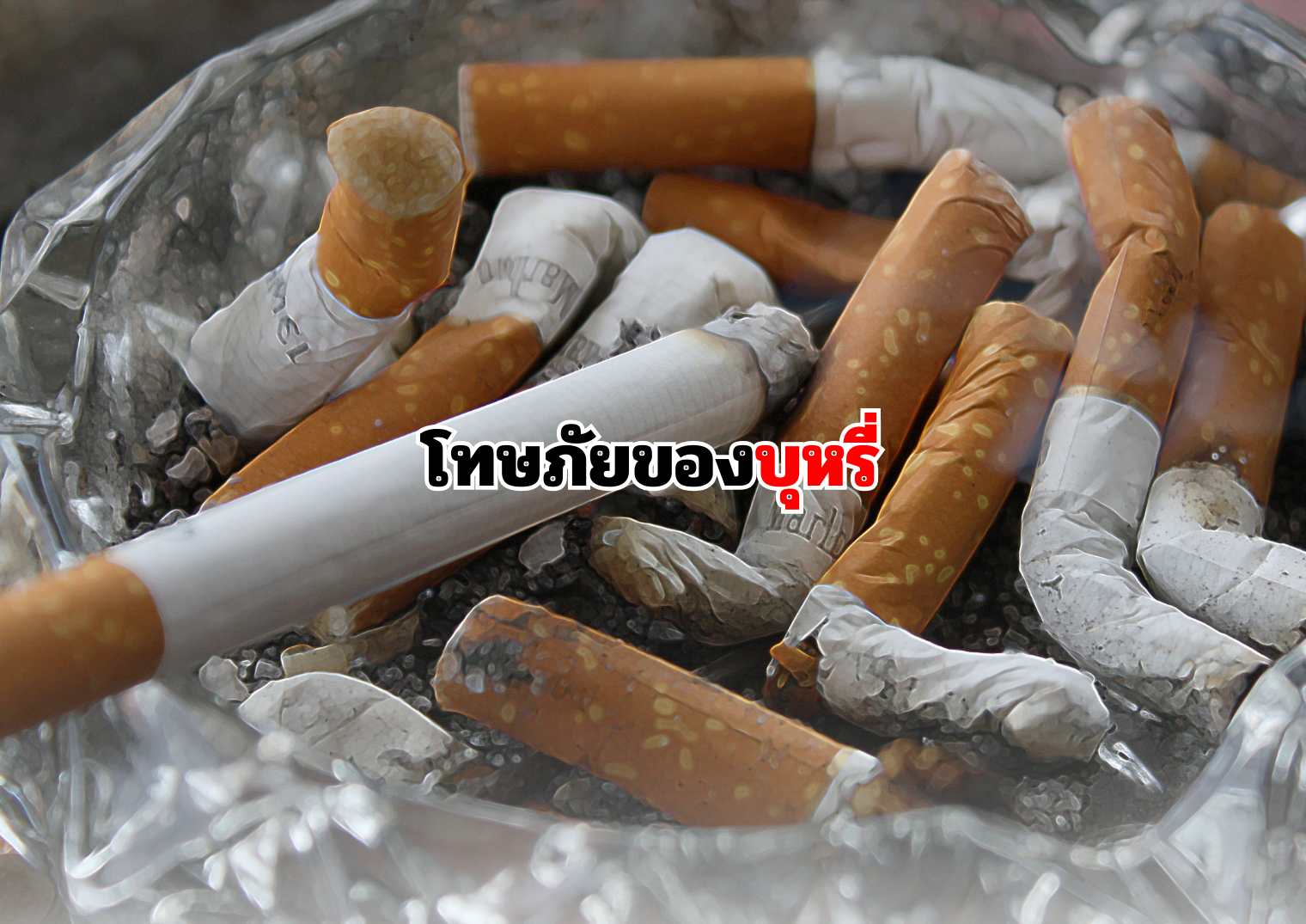 รูปภาพหน้าปก 05e4f6d3-8872-4660-87a9-8cf4b4bd5e9b