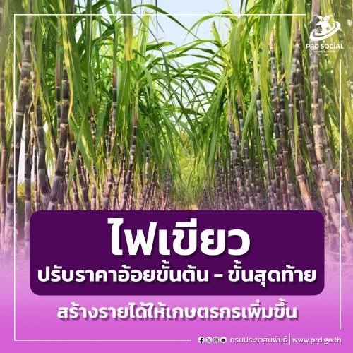 รูปภาพหน้าปก 50b3f378-26f9-44f4-b914-f7958fe611ab
