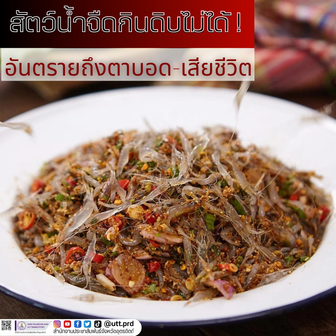 รูปภาพหน้าปก 4cf0e1be-ad57-4ea1-97a8-32423ce52c83