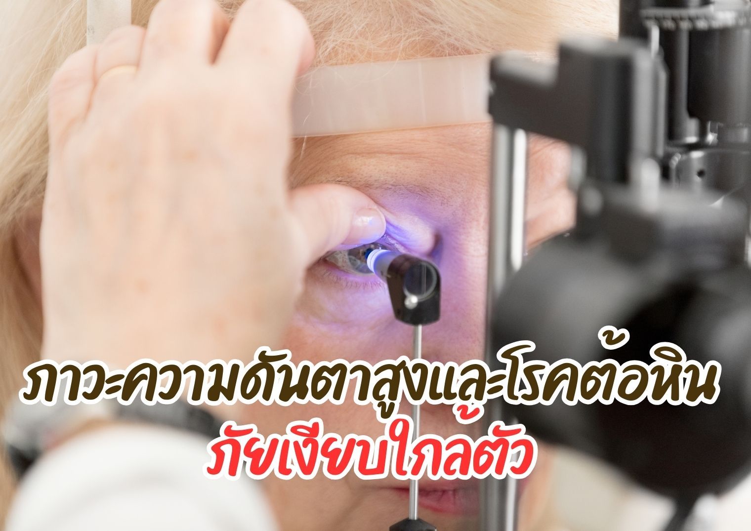 รูปภาพหน้าปก aa93e97d-7719-4b46-ba40-efdddd451c01