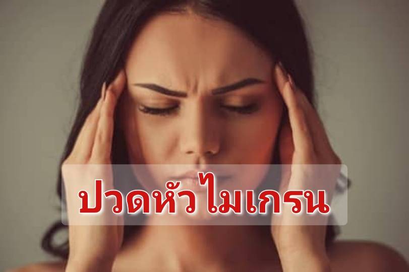 รูปภาพหน้าปก 393c6e29-4a2b-4a0c-8189-a83d33863263