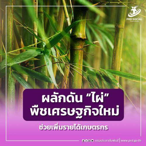 รูปภาพหน้าปก a58ed567-7e83-4a34-8995-c2c5b0024c37