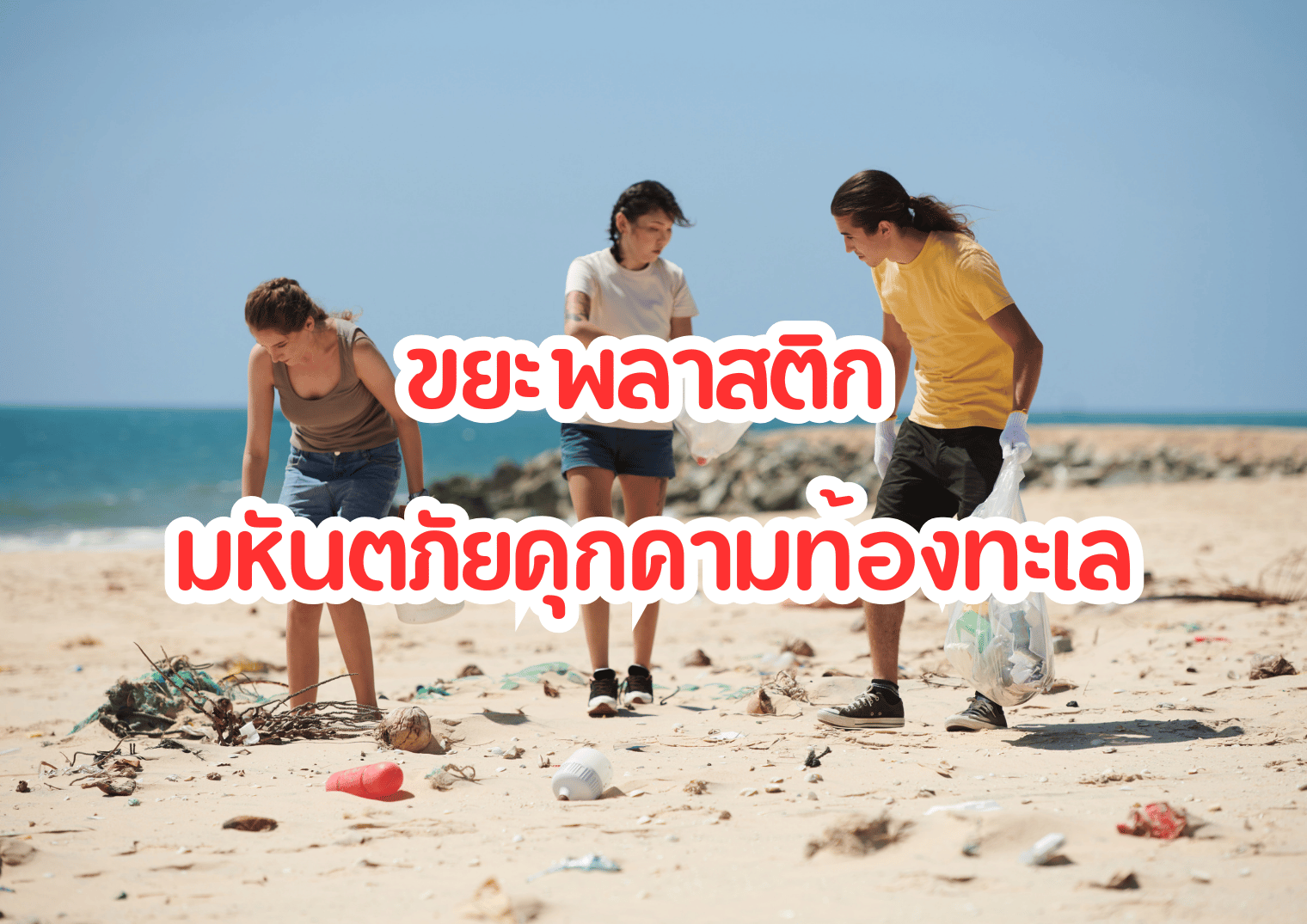 รูปภาพหน้าปก c42b444c-14df-472f-888a-0a9241bc6ae6