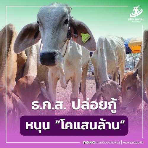 รูปภาพหน้าปก fb4cbde2-55f5-4b4e-8c61-81ac221dfe79