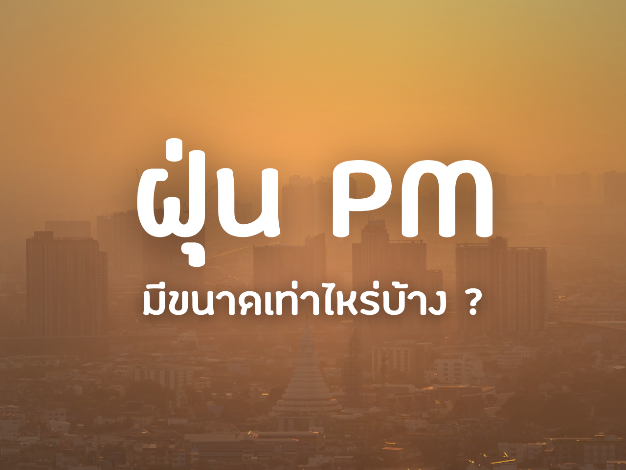 รูปภาพหน้าปก 33cefa07-1df5-48c1-965c-3f28f87511d0