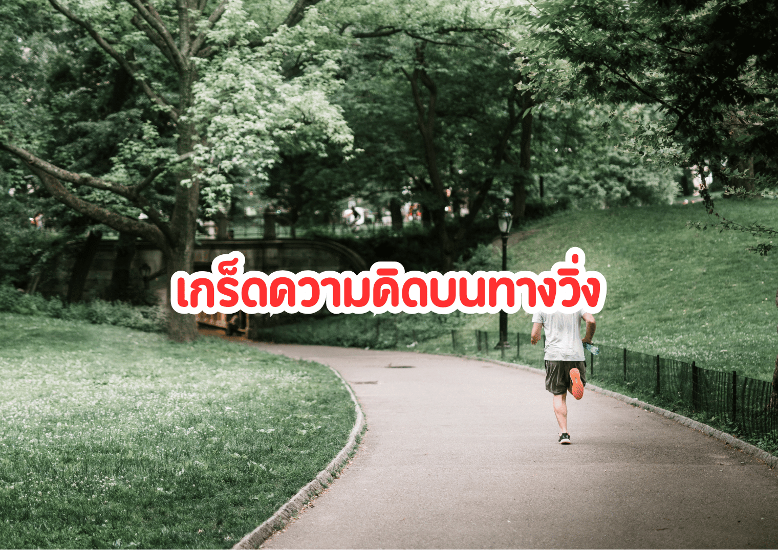 รูปภาพหน้าปก 1485e652-dc34-4fc8-a84c-d3480018f88c