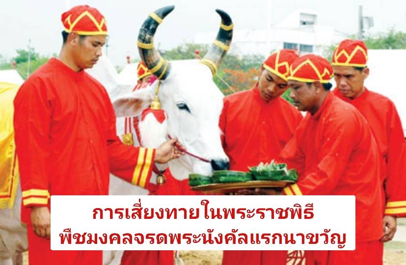 รูปภาพหน้าปก 8d8aa7ed-2ec1-444f-bdde-86c7ba083fa8