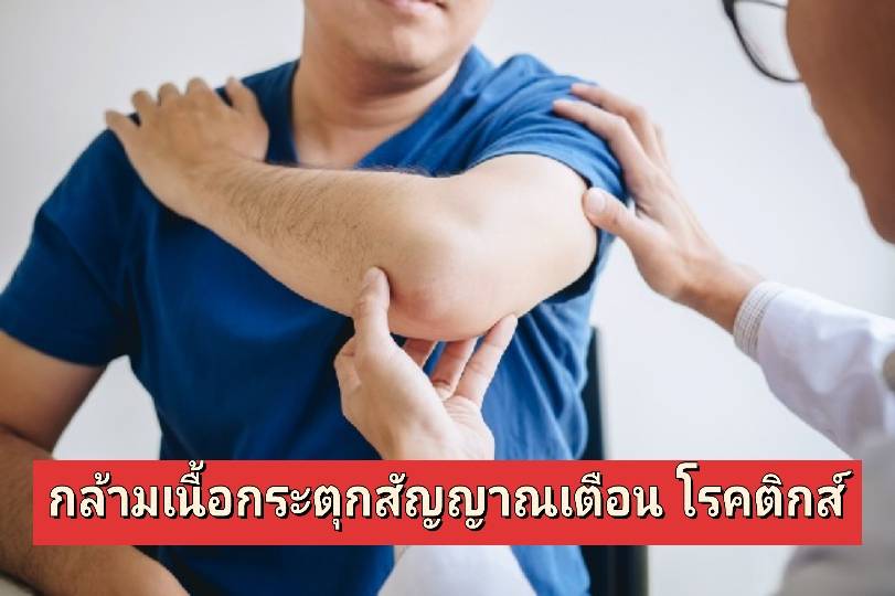 รูปภาพหน้าปก fa5f4b3f-c115-4acd-bb62-2b153b3cf308