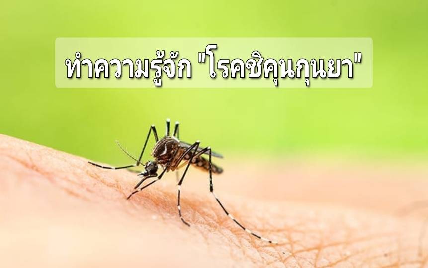 รูปภาพหน้าปก 1afb7062-fb01-4997-b237-9b8fdc345ae8