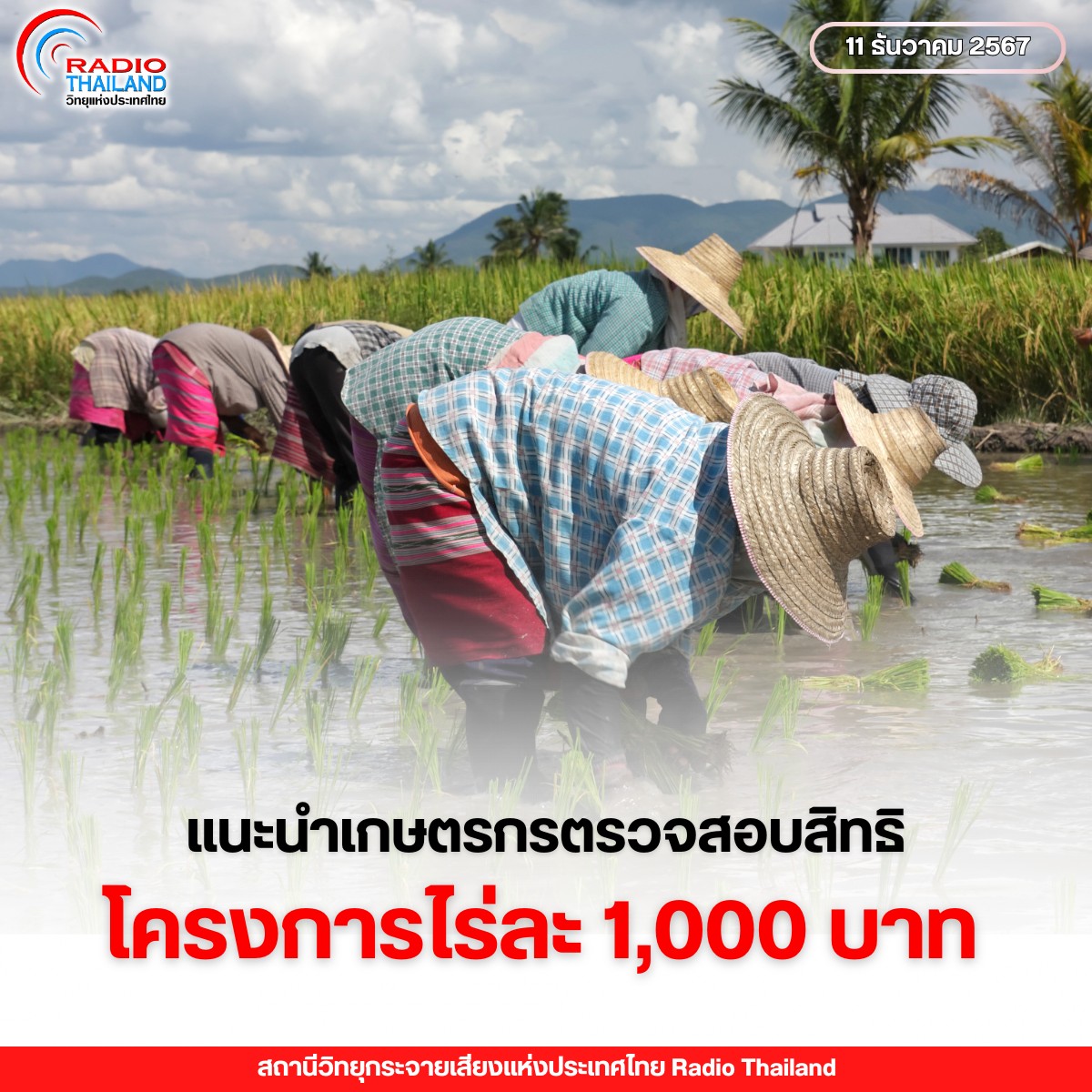 รูปภาพหน้าปก 1819e7a1-710c-4051-a3a1-68abd7a52ae1